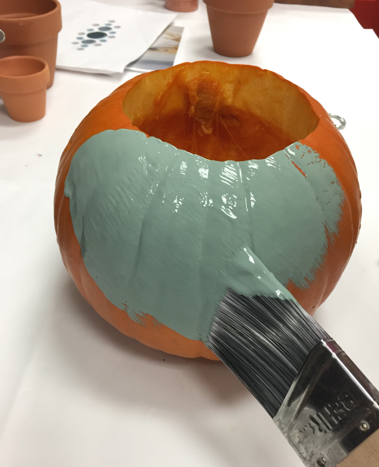 DIY Project Succulent Pumpkin Colorfully BEHR