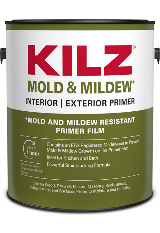 Bathroom Paint - How to Prevent Mildew, Mold