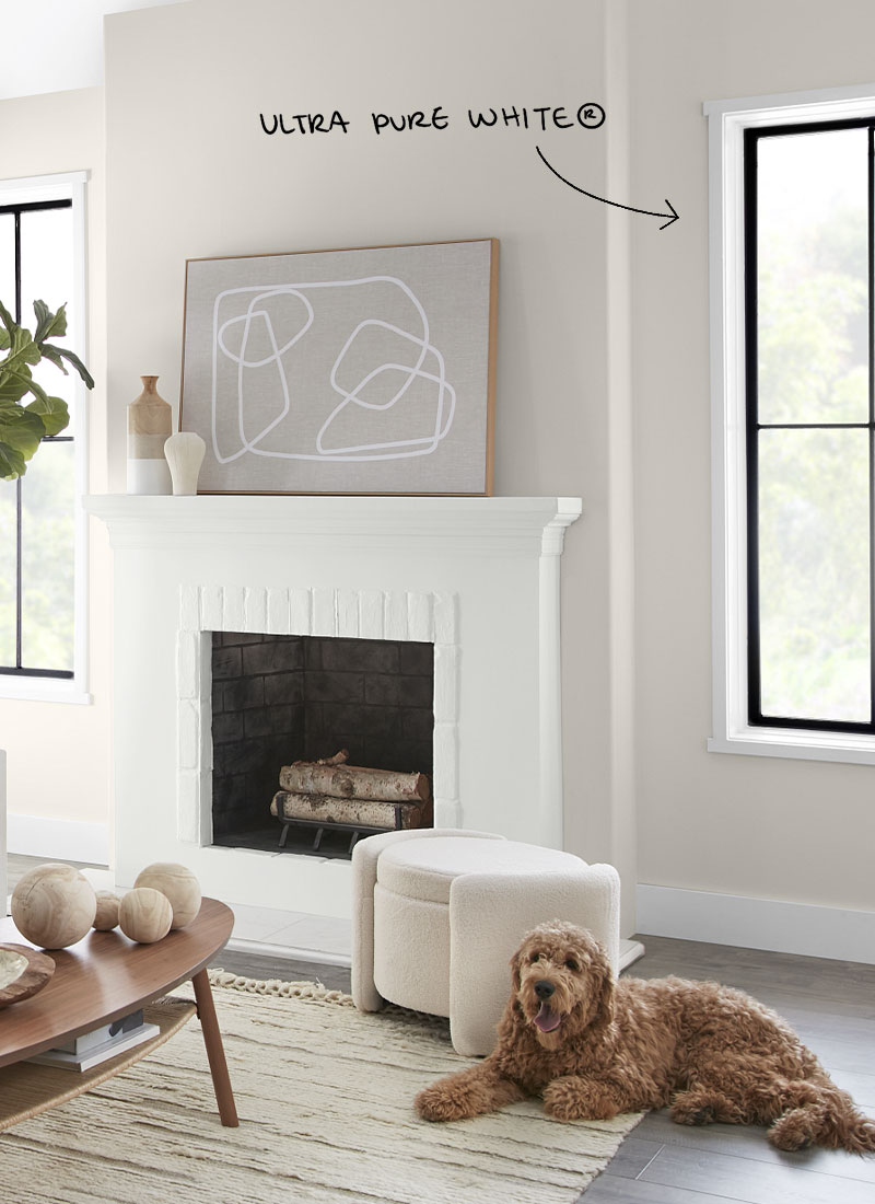 Living room windows with white trim and a dog